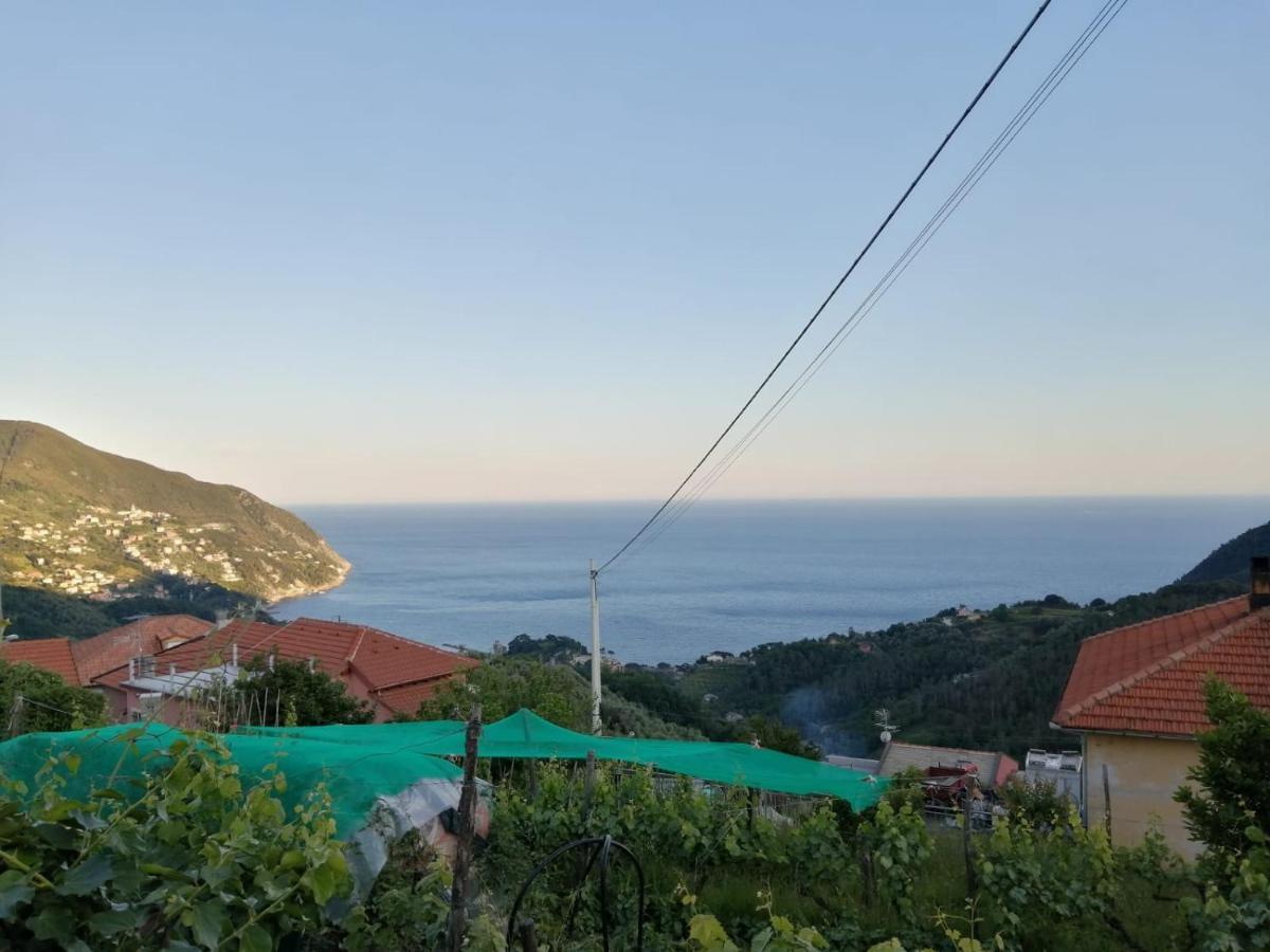 Villa Sentieri Sul Mare Moneglia Exterior foto